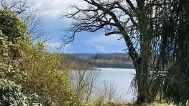 Gewaltfreie Kommunikation