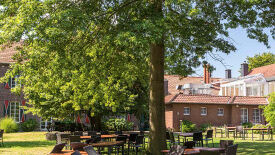 Vital und Dynamisch mit Qi-Fa-Yo und visueller Fitness in Beruf und Alltag