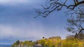 Selbstregulation und Leistungsfähigkeit im Beruf