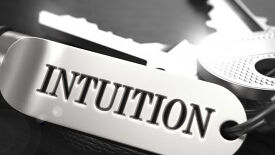 Intuition oder Intellekt? Wie treffe ich meine Entscheidungen?