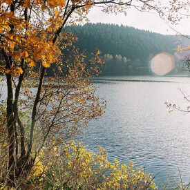 Nationalpark Harz - Schutz für die einzigartige Wald-Landschaft am Brocken