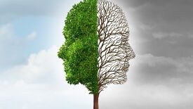 Konstruktiver Umgang mit Emotionen am Arbeitsplatz