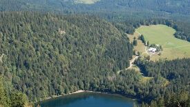 Naturpark Südschwarzwald - 