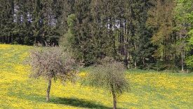 Das Wichtigste zuerst – Klarheit und Selbstfürsorge im (Arbeits-)Leben!