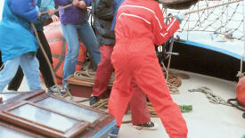 Talente Kompass - Deine persönlichen Potenziale entfalten