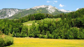 Nationalpark Kalkalpen - Modellregion für nachhaltige Entwicklung