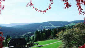 Kommunikation, Führung und Selbstmanagement