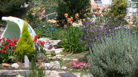 Resilienz - psychische Widerstandskraft und persönliche Belastbarkeit stärken