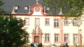 Innere Kraft entfalten mit Qigong