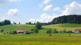 Das Oberschwäbische Allgäu – Entwicklung und Erhalt einer Kulturlandschaft zwischen Tradition und Zukunft