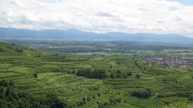 Der Kaiserstuhl – Erhalt und Entwicklung einer wertvollen Kulturlandschaft