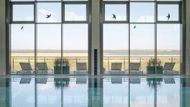 Yoga, Longevity und Biohacks