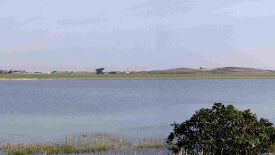 Rückengesundheit und Stressbewältigung mit Qigong