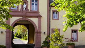 Rückengesundheit und Stressbewältigung mit Qigong