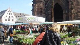 Freiburg - Deutschlands grüner Süden