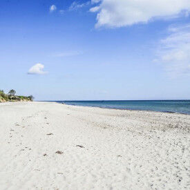 Gesundheit von innen heraus – tanken Sie positive Energie mit Yoga, Meditation, Atemtechniken und Körperarbeit