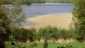 Müritz Nationalpark - Chance für eine wertvolle Naturlandschaft?