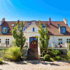 Eine neurowissenschaftliche Reise zu mehr innerer Balance