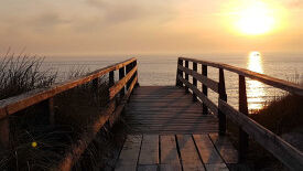 Die Kraft der Mitte stärken mit Hatha Yoga und Qi Gong für mehr Ausgeglichenheit von Körper und Geist im Berufsalltag