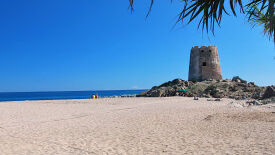 Mehr Balance und Energie im Berufsalltag durch Yoga, Qigong und die fünf Elemente