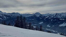 Modellregion Bregenzerwald – zukunftsfähiger Klima- und Naturschutz in Vorarlberg