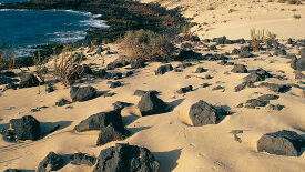 Fuerteventura - eine Insel am Rande Europas zwischen Tourismus, Nachhaltigkeit und Ressourcen