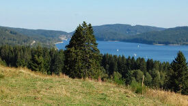 Naturpark Südschwarzwald - 
