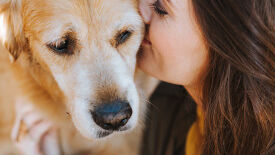 Qi Gong und Entspannungstechniken mit Hund