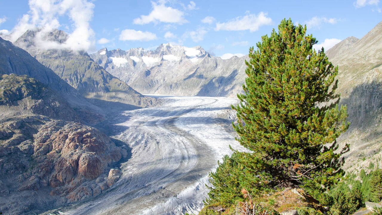 Der Aletschgletscher - Zeuge des Klimawandels in den schweizerischen Hochalpen