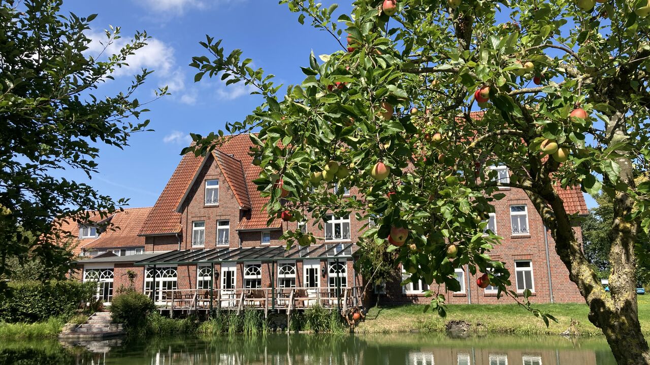 Mit dem Nervensystem auf Augenhöhe - Selbstführung und Stressregulation mit der Polyvagaltheorie