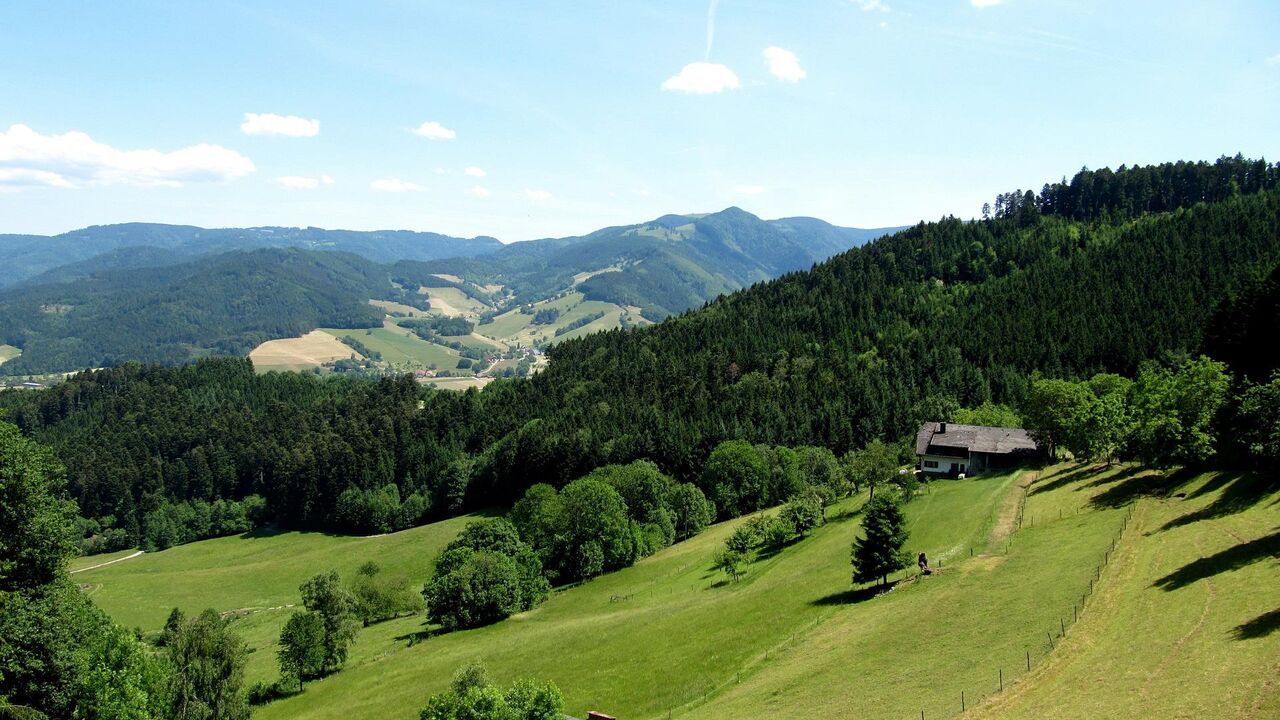 Der mittlere Schwarzwald: Eine ländliche Region zwischen Tradition und Moderne