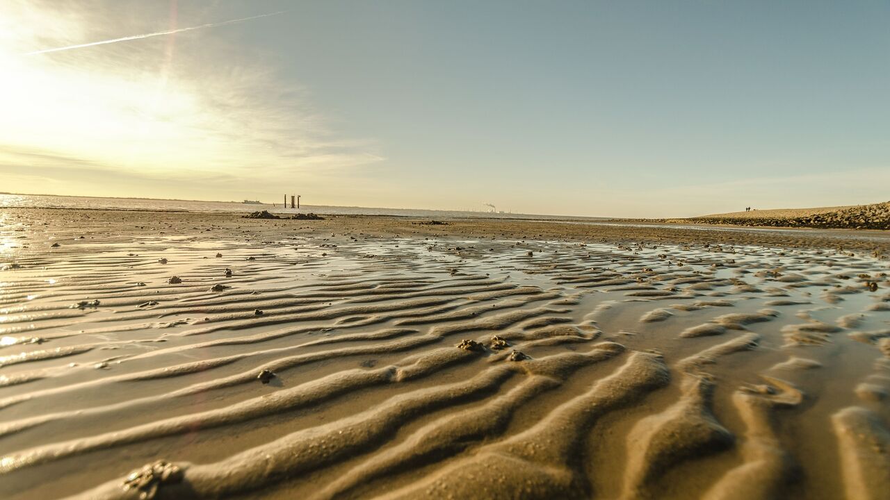 Ostfriesland – Wandel einer Küstenregion zwischen Identitätsbewahrung und Zukunftsfähigkeit