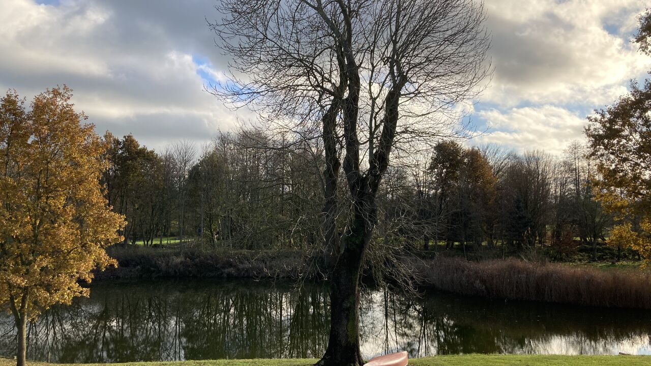 Mehr Energie für den Berufsalltag durch Yoga, Meditation und die vier Elemente