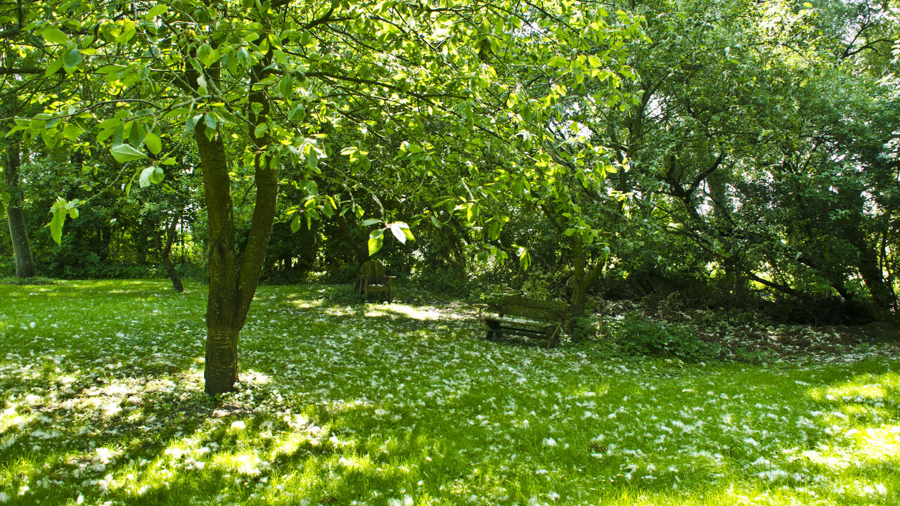 Mit Veränderung umgehen - Resilienzförderung durch Iyengar-Yoga®