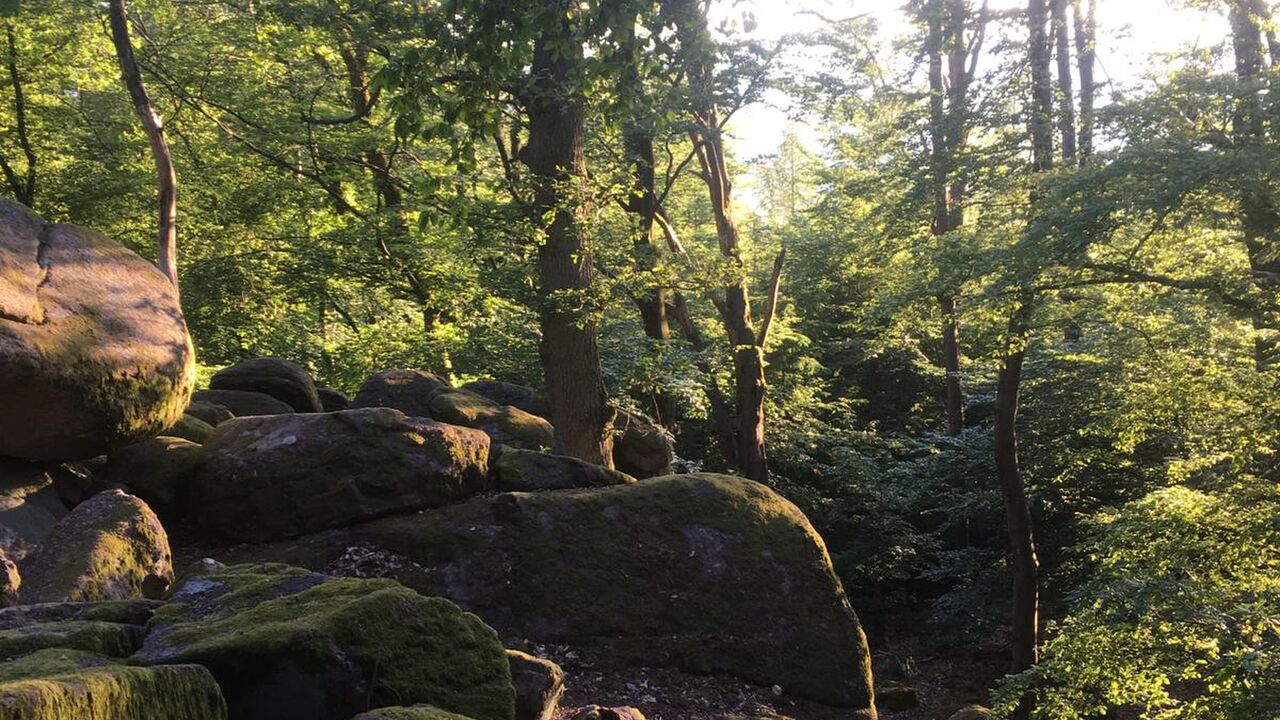 Das Wichtigste zuerst – Klarheit und Selbstfürsorge im (Arbeits-)Leben!