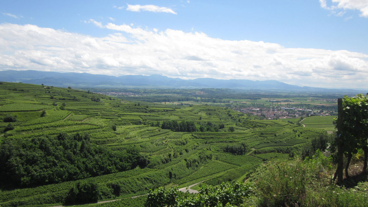 Der Kaiserstuhl – Erhalt und Entwicklung einer wertvollen Kulturlandschaft