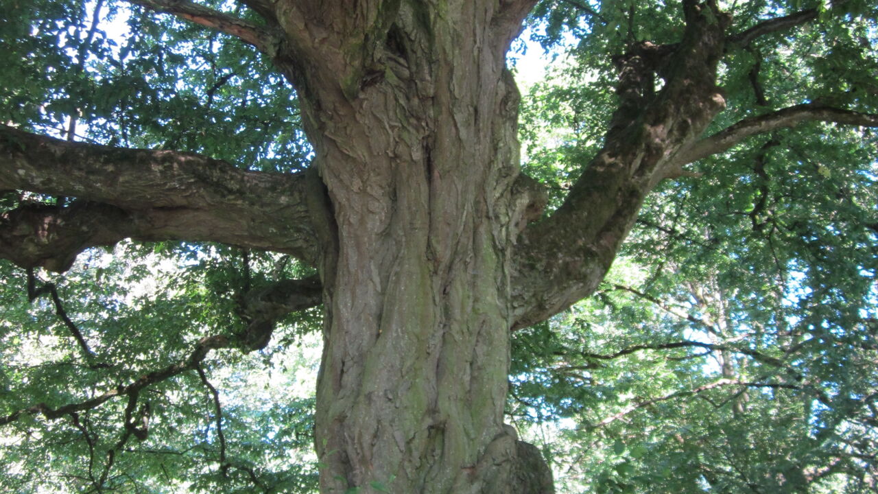 Stärken erkennen und nutzen – Unterschiedlichkeiten wertschätzen