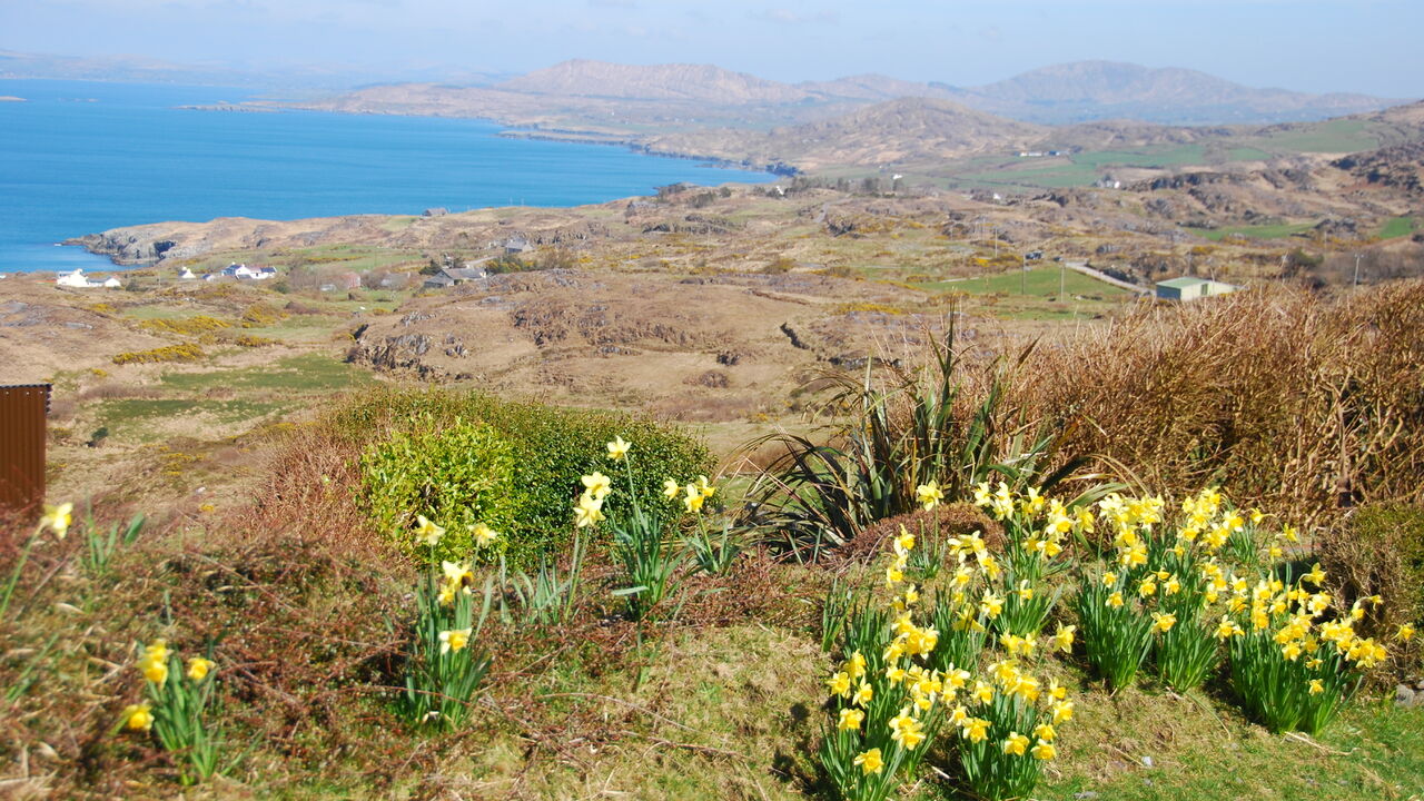 Irlands wilder Westen – Chancen und Risiken einer Region am Rande der EU