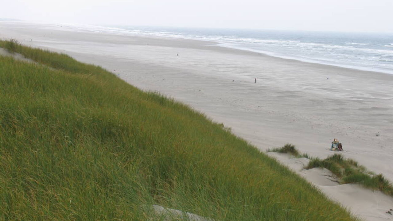 Das Team bin ich! Wie Sie sich im Team verwirklichen und Wirkung entfalten