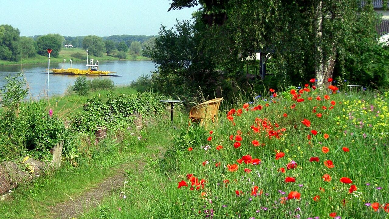 Mehr