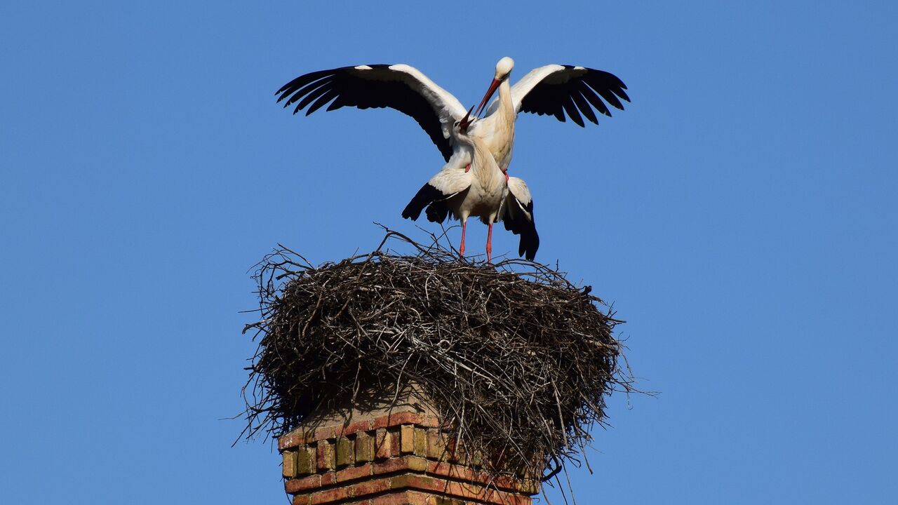 Algarve – Der Süden Portugals an der Peripherie Europas zwischen Ursprünglichkeit und Tourismus