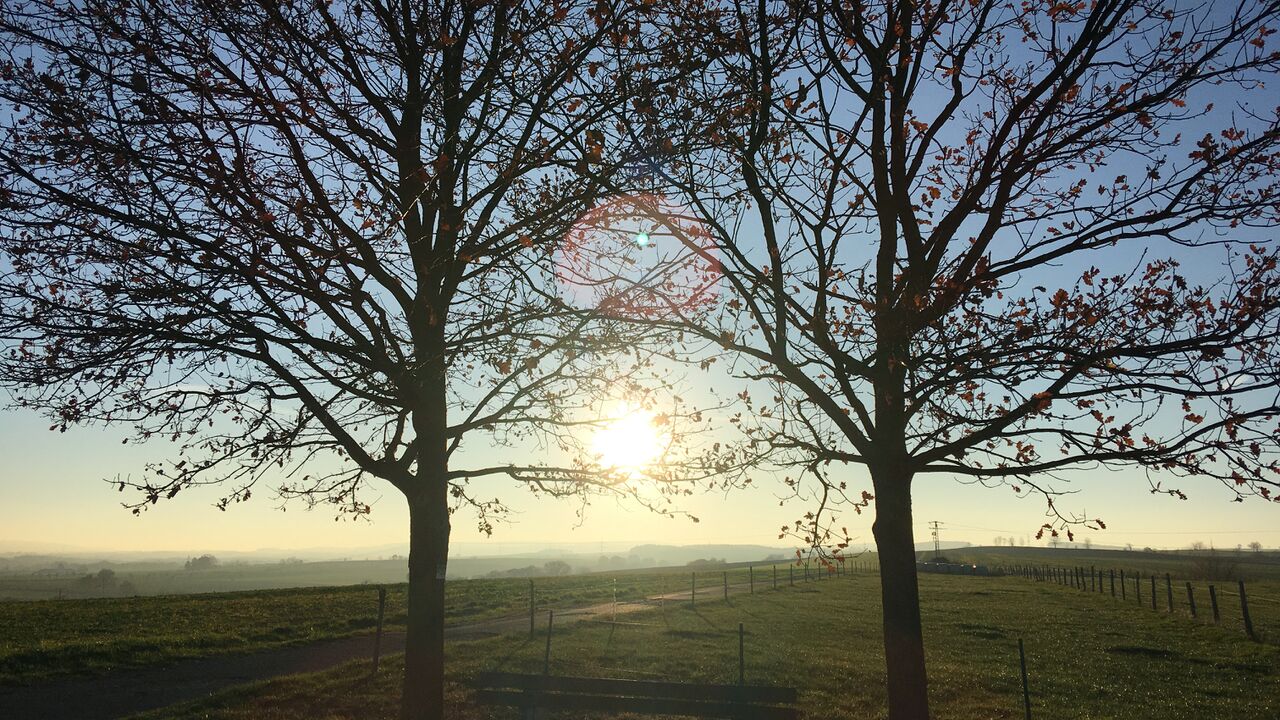 Mehr Gelassenheit im Beruf mit Qi Gong