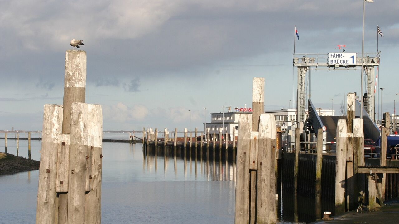 Klarheit, Gelassenheit und innere Balance im beruflichen Alltag