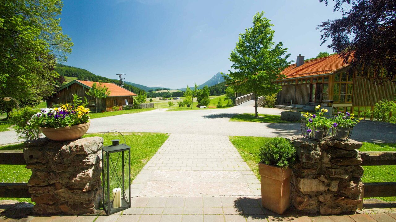 Souveränität im Beruf stärken - Stresskompetenz mit dem persolog®-Profil und Yoga Flows