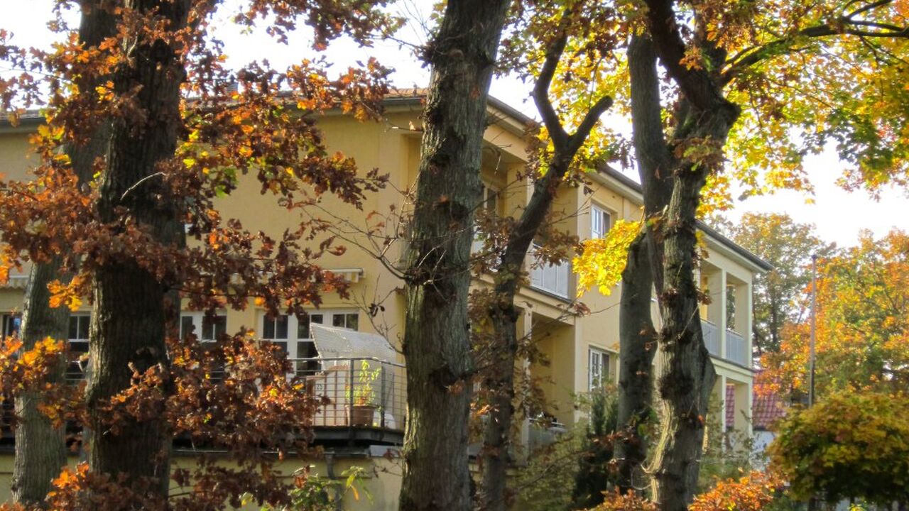 Entscheidungen treffen – Entscheidungen umsetzen