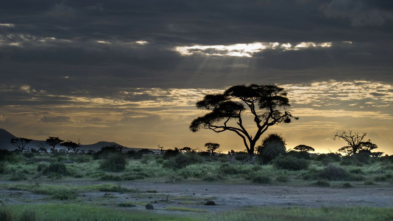 Kenia – Herausforderungen zwischen Bevölkerungswachstum, Klimawandel und Globalisierung