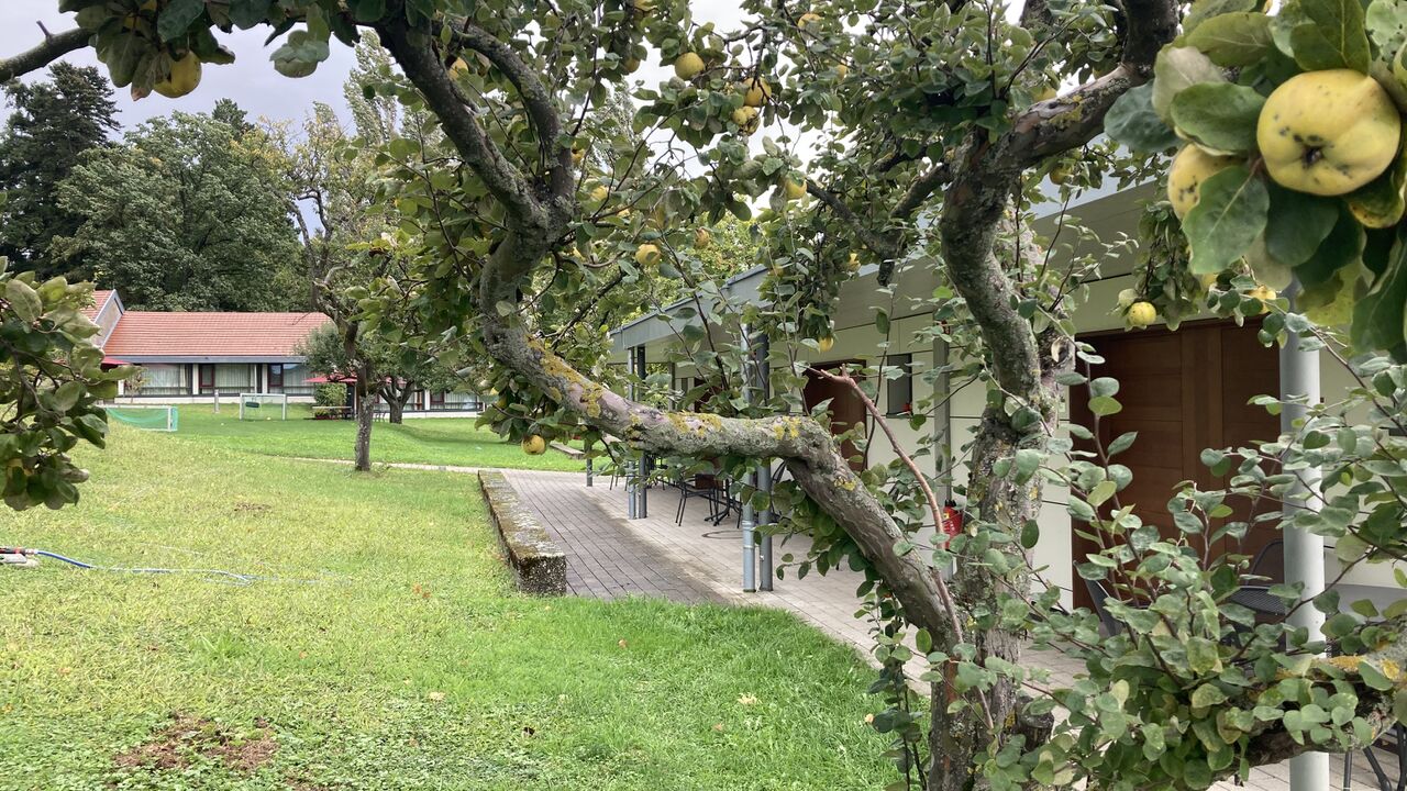 Gewaltfreie Kommunikation in Beruf und Alltag