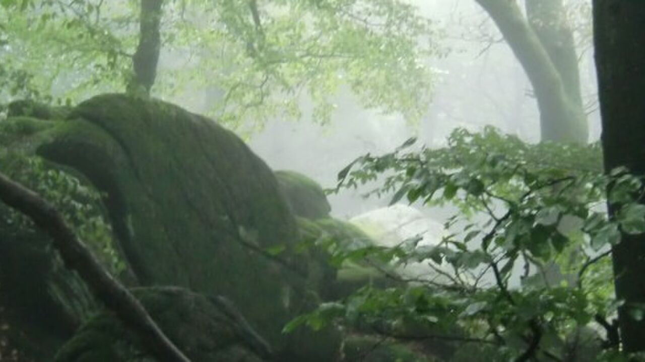 Ruhestand – Entdecke Deine Möglichkeiten