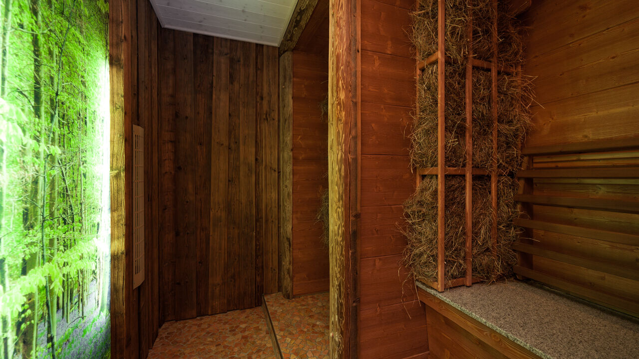 Qi Gong und Entspannungstechniken mit Hund