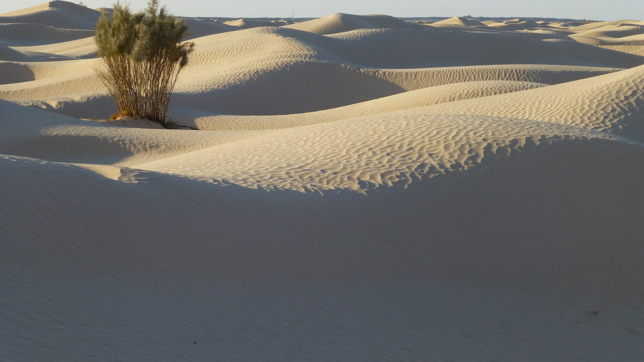 Die Stille erleben - Wüstenretreat mit Kameltrekking in Tunesien mit drei Schweigetagen